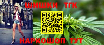 МДПВ Пенза