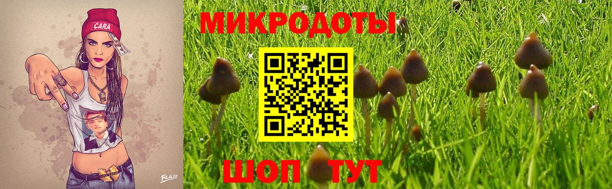 купить  цена  Псилоцибиновые грибы MAGIC MUSHROOMS  Реж  Вход с VPN  Псилоцибиновые грибы GOLDEN TEACHER 