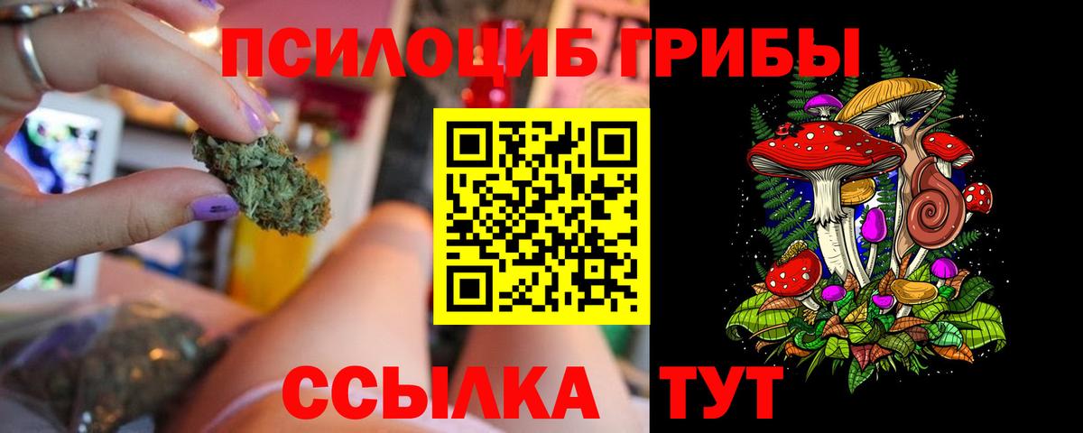 Псилоцибиновые грибы Magic Shrooms Реж